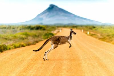 ÚC: MELBOURNE - SYDNEY