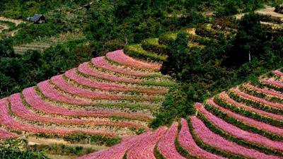 HÀ GIANG – YÊN MINH – ĐỒNG VĂN – MÈO VẠC