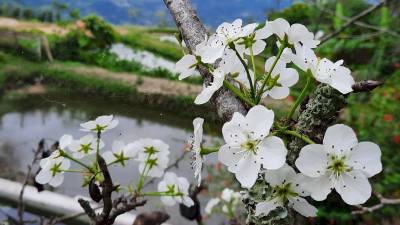 TUYÊN QUANG: DU LỊCH 2 NGÀY TUYÊN QUANG – LÂM BÌNH