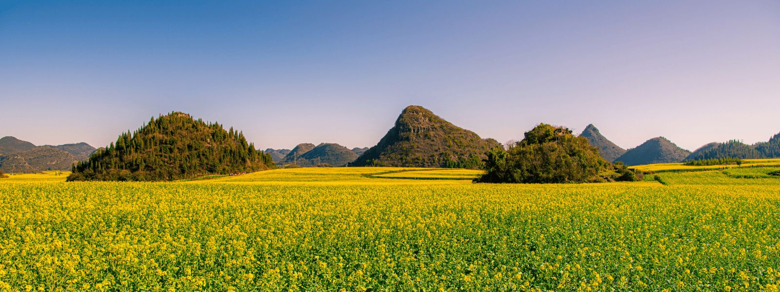 Mùa Vàng La Bình, Vân Nam