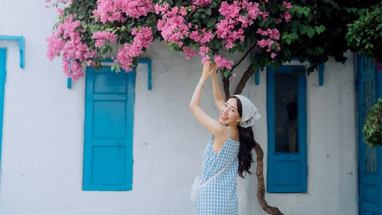 sơn trà