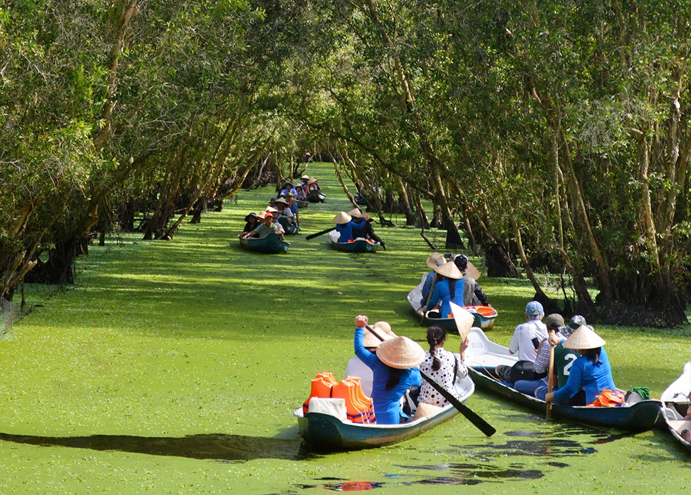 Rừng Tràm Trà Sư