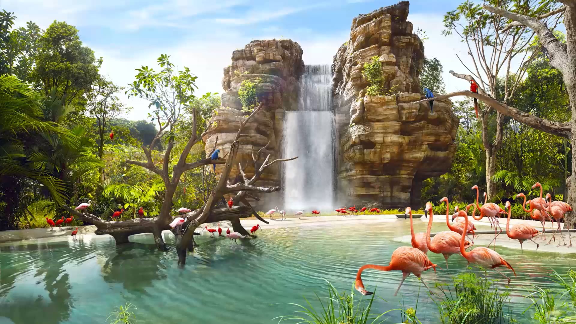 bird park
