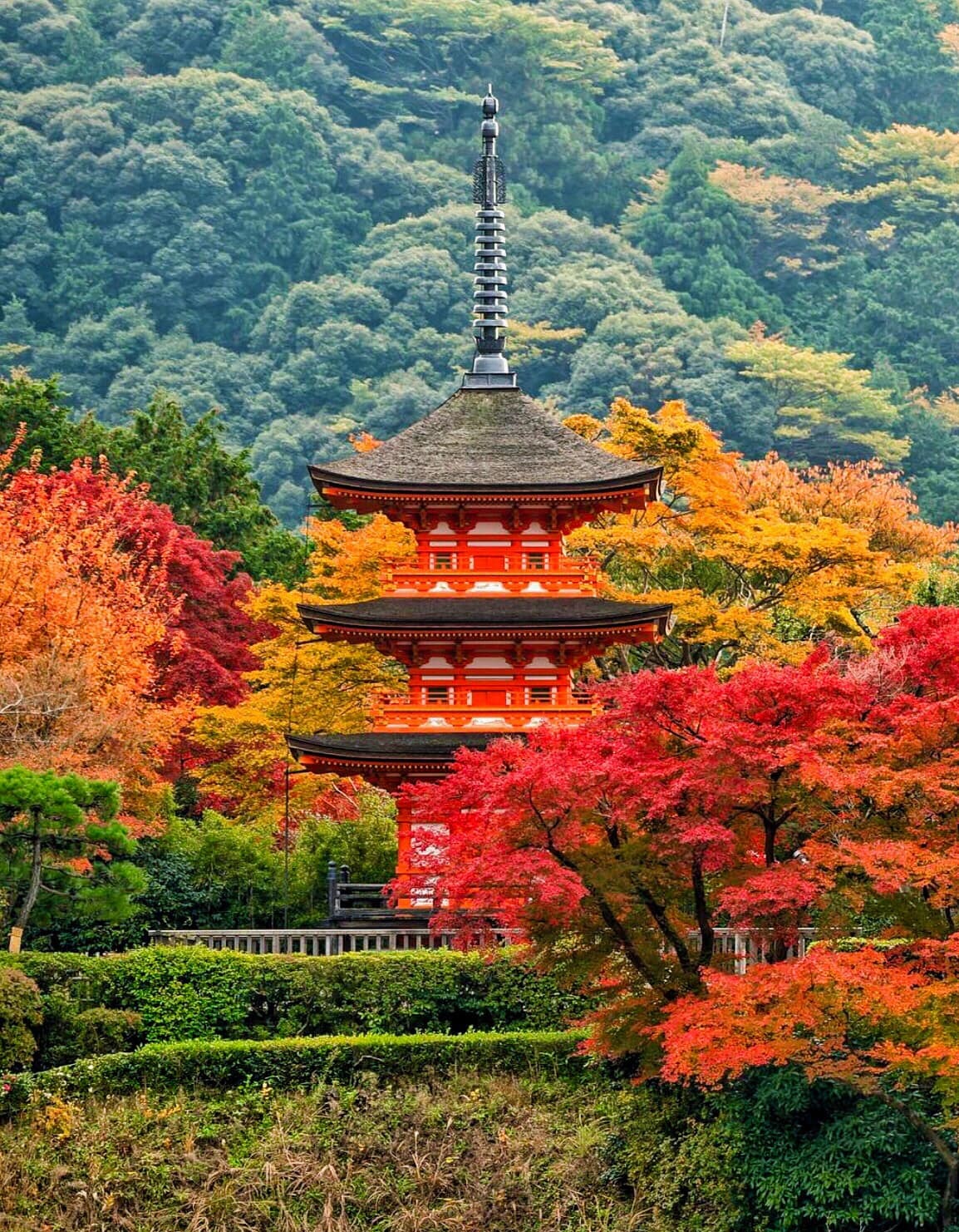 Chùa Thanh Thủy – Kiyomizu-dera