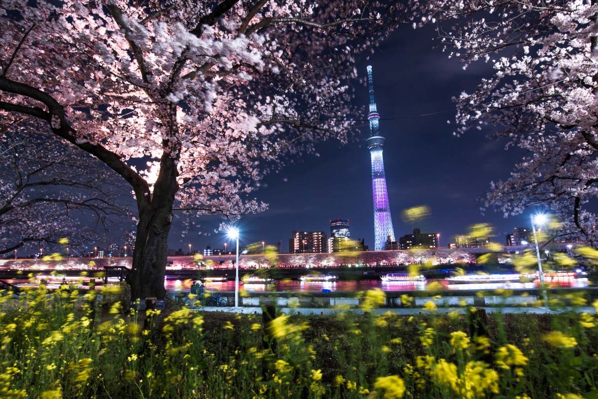 Seoul - Tokyo