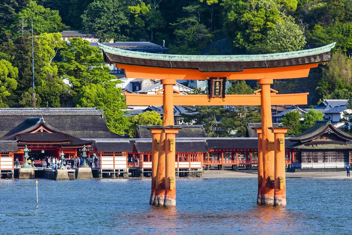 SHIMANE