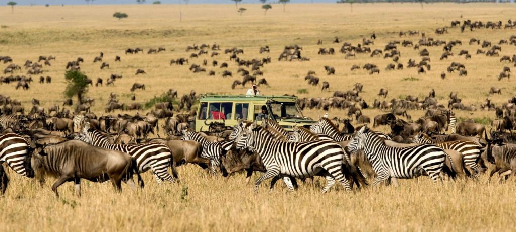 Western Serengeti
