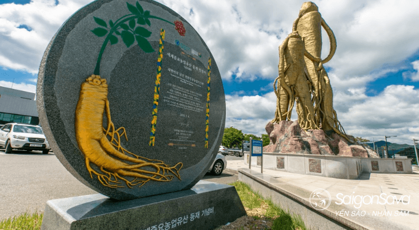 Vietrantour Busan địa phương