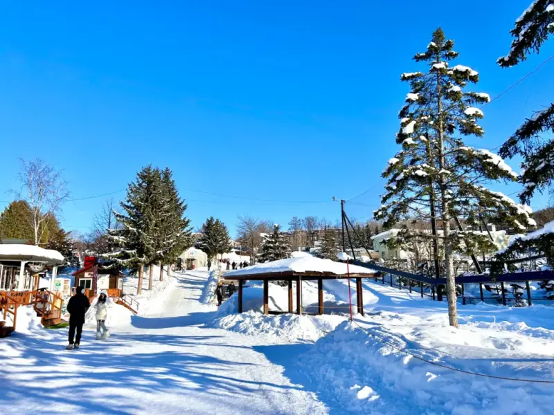 Khám phá vườn thú Asahiyama