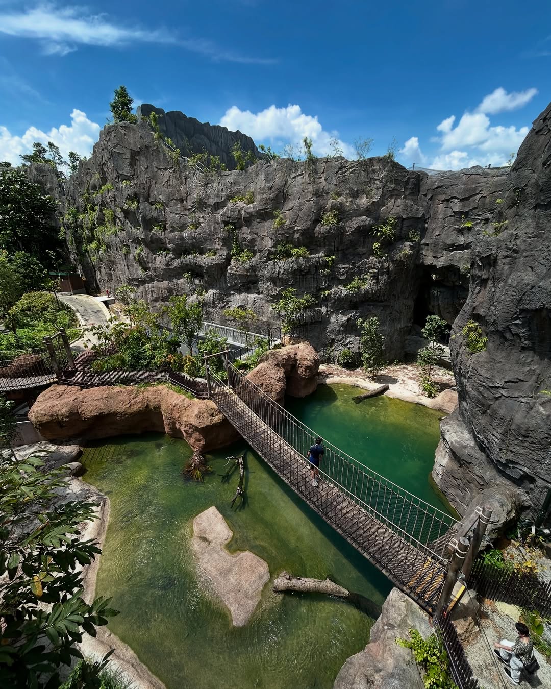 rừng nhiệt đới
