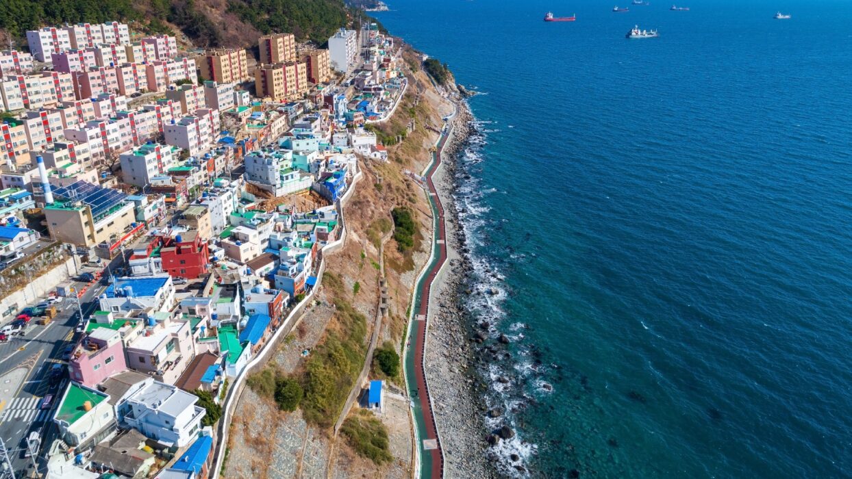Vietrantour Busan địa phương