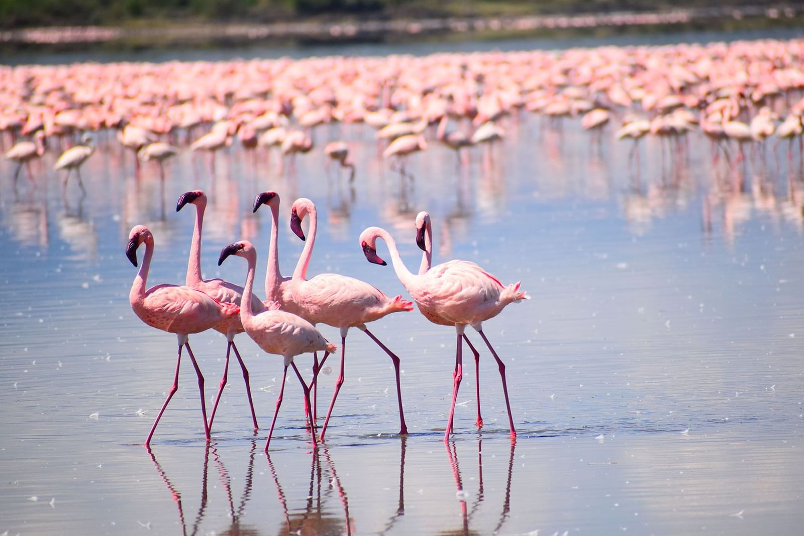 Tour Kenya và Tanzania