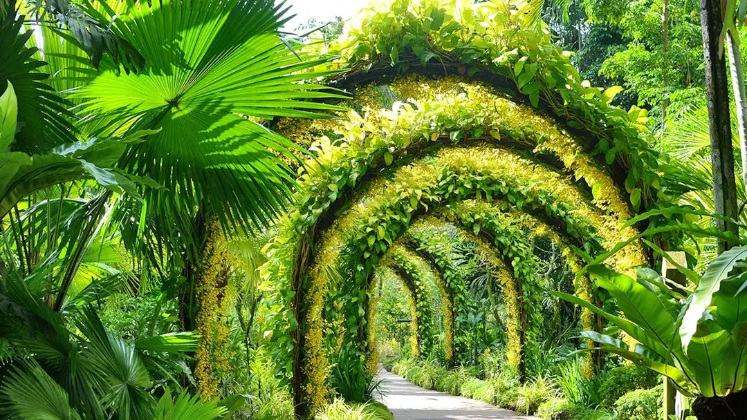 National Orchid Garden