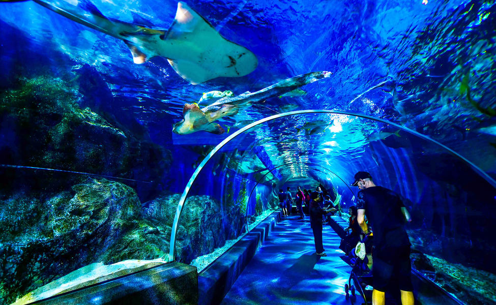 Thủy Cung SEA LIFE