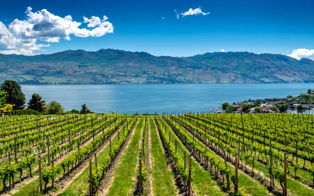 Thung lũng nho Okanagan & Kelowna