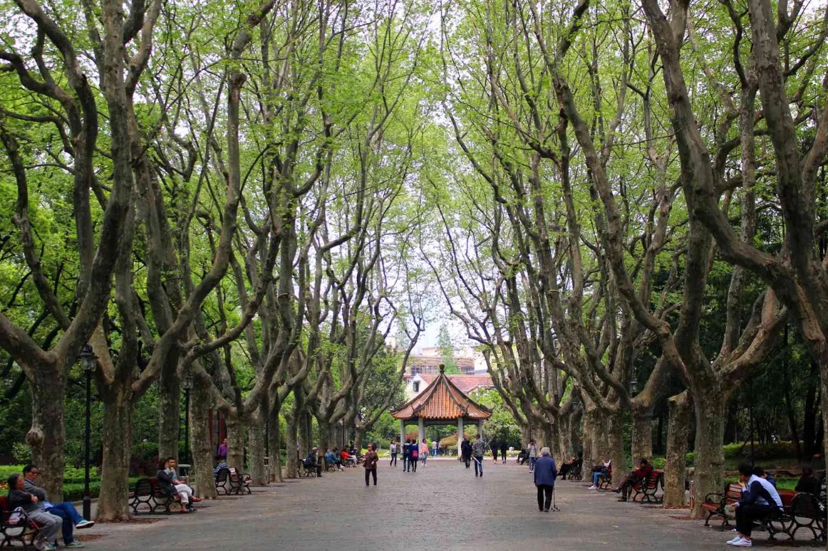 TÔ GIỚI PHÁP 2