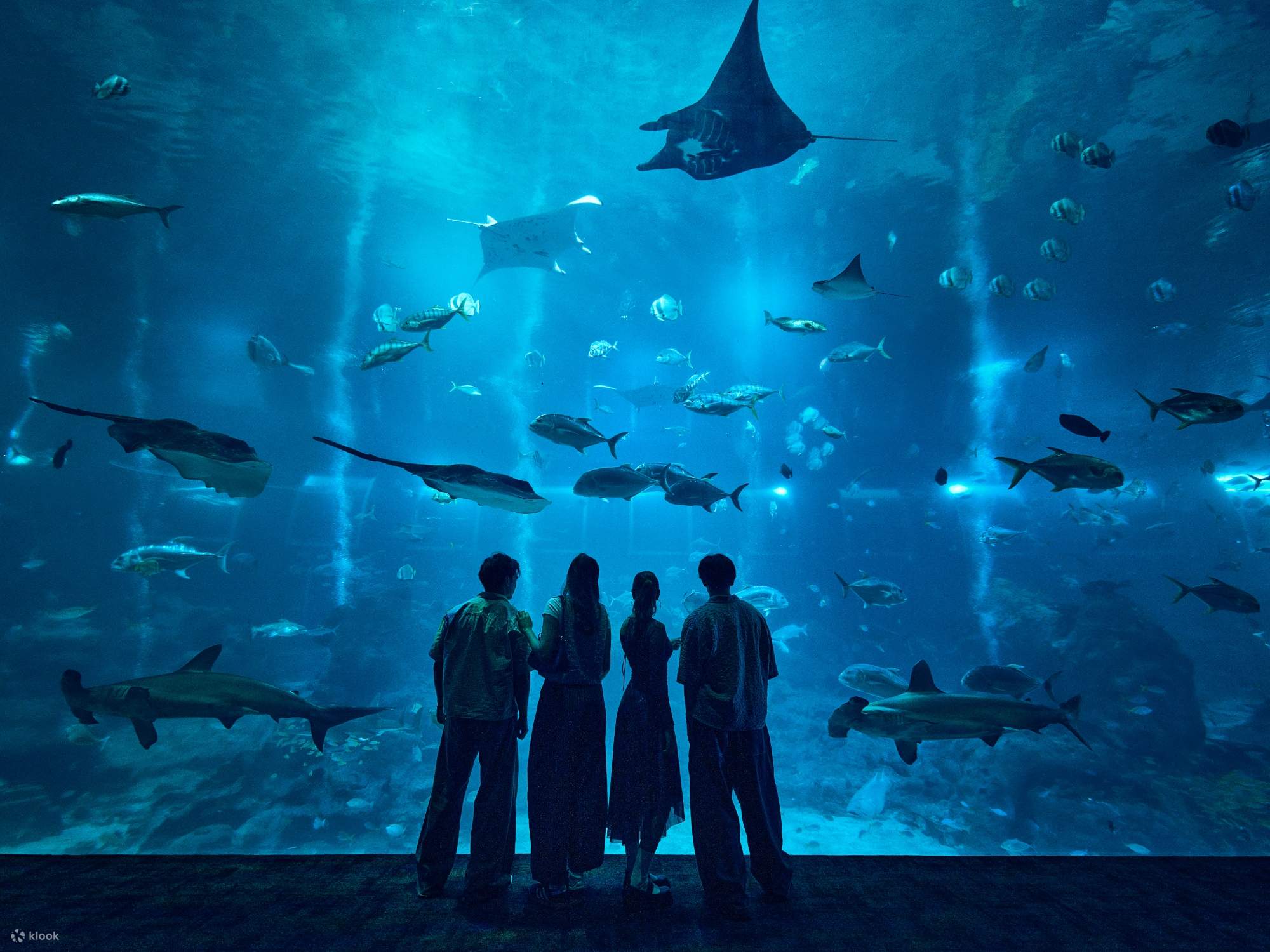 Singapore Oceanarium