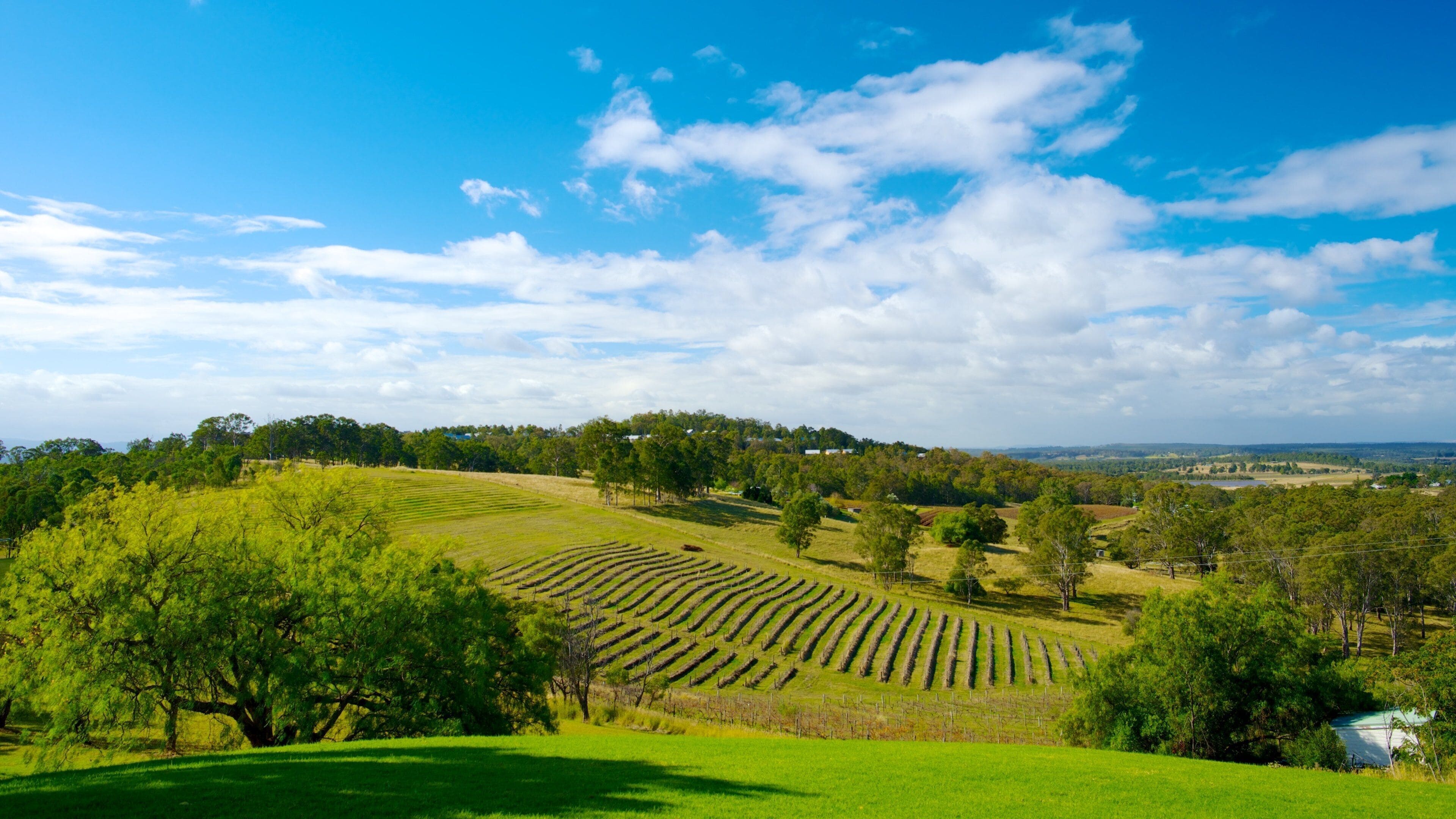 Tour Sydney - Hunter Valley 1 Ngày