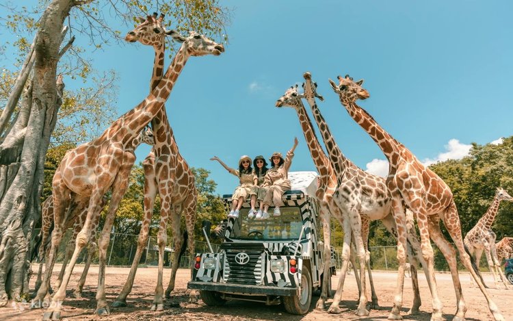 Tour Bangkok - Kanchanaburi 4N3Đ: Safari Park & Skywalk