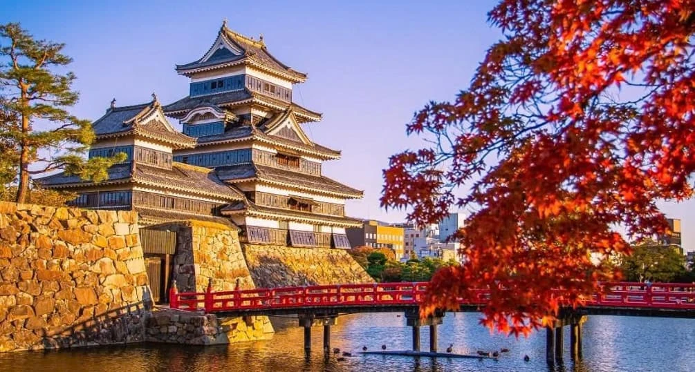 Tour Nhật Bản Cung Đường Vàng 2026: Nara – Osaka – Kyoto – Phú Sĩ – Tokyo