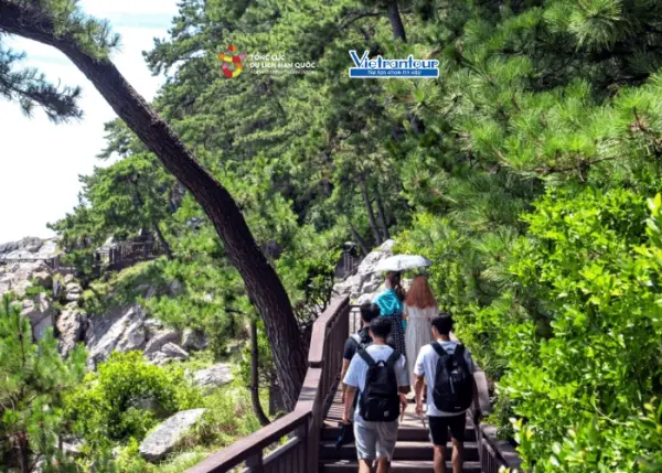 Hành trình trekking & khám phá cố đô silla 5n4đ
