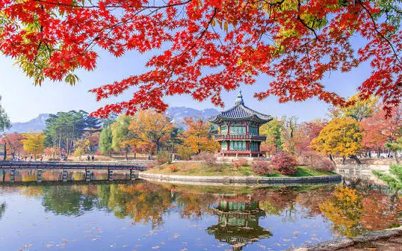 Cung đường vàng khám phá Hàn Quốc | Busan – Seoul – Nami – Incheon | 6N5Đ
