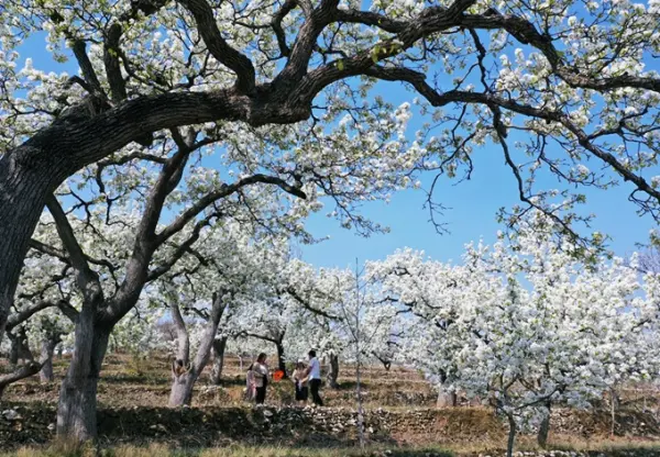 Khám phá Tuyên Quang - Lâm Bình - Na Hang
