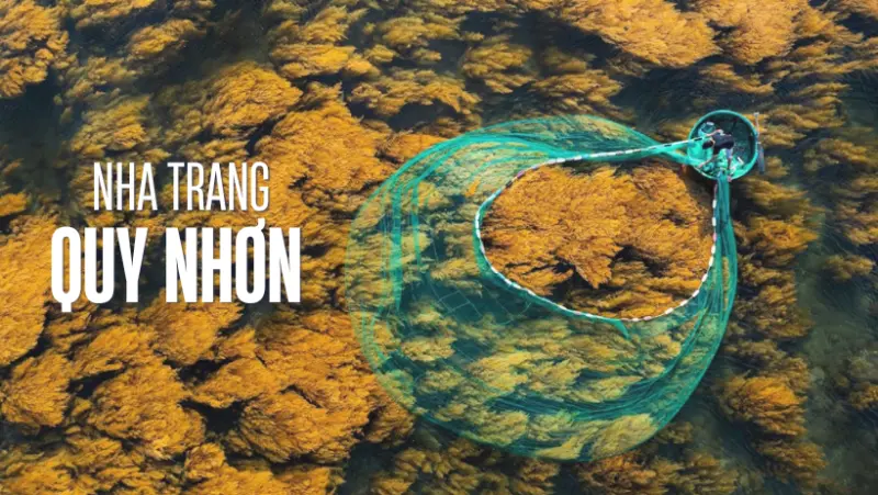 Quy Nhơn Nha Trang