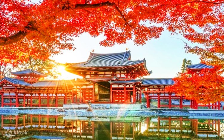 Hành trình 1 ngày suối nước nóng NARA & Uji
