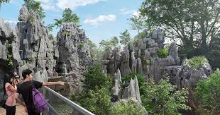 Rainforest Wild Asia: Khám Phá Rừng Nhiệt Đới Mandai – Singapore (Tự Do Tham Quan)