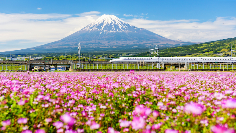 CUNG ĐƯỜNG VÀNG NHẬT BẢN 2026 TOKYO- NÚI PHÚ SỸ- KYOTO- OSAKA