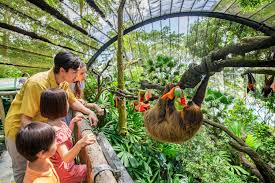 Hành Trình Khám Phá Singapore Zoo: Trải Nghiệm Mô Hình 