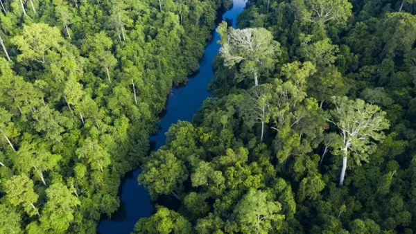Tour Ghép Vườn Quốc Gia Taman Negara 1 Ngày: Trekking & Cầu Treo Canopy Walk