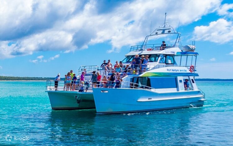 Tour trọn ngày Jervis Bay