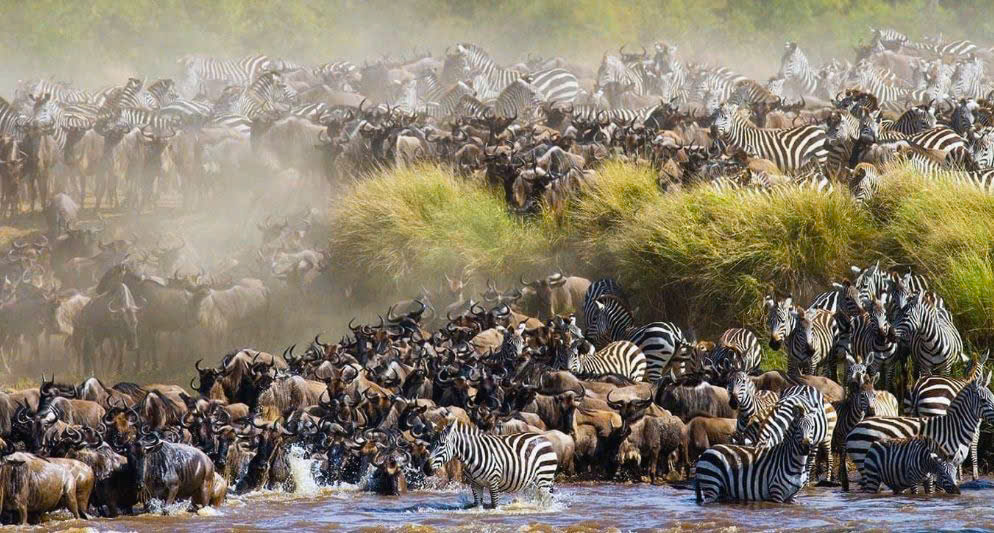 Kenya & Tanzania – Hành Trình Safari Huyền Thoại Châu Phi 10 ngày 9 đêm